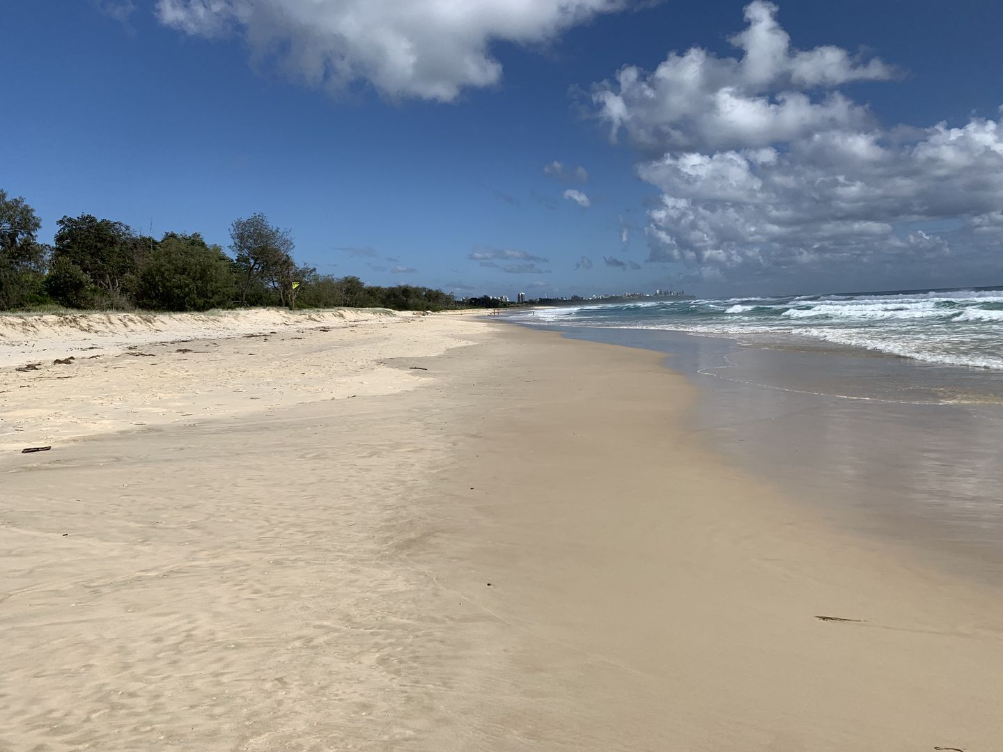 Fingal Beach looking north 10 February